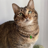 Collier chic pour animaux de compagnie avec pendentif perle et émeraude, luxueux pour chats et chiens