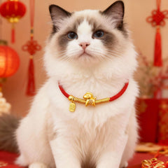 Collier porte-bonheur pour animaux de compagnie Année du Cheval 2026, corde tressée rouge avec pendentif plaqué or, collier pour chat/chien