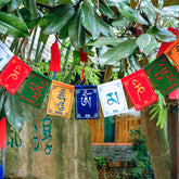 Tibetan Prayer Flags – Colorful Om Mani Padme Hum flags hanging among green tree foliage, outdoor spiritual decor