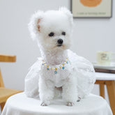 Luxury Crystal Pet Necklace – white fluffy dog in pearl collar with blue flower and heart charms, lace dress
