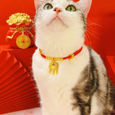 New Year Lucky Lock Pet Necklace, Adjustable Red Rope Chain
