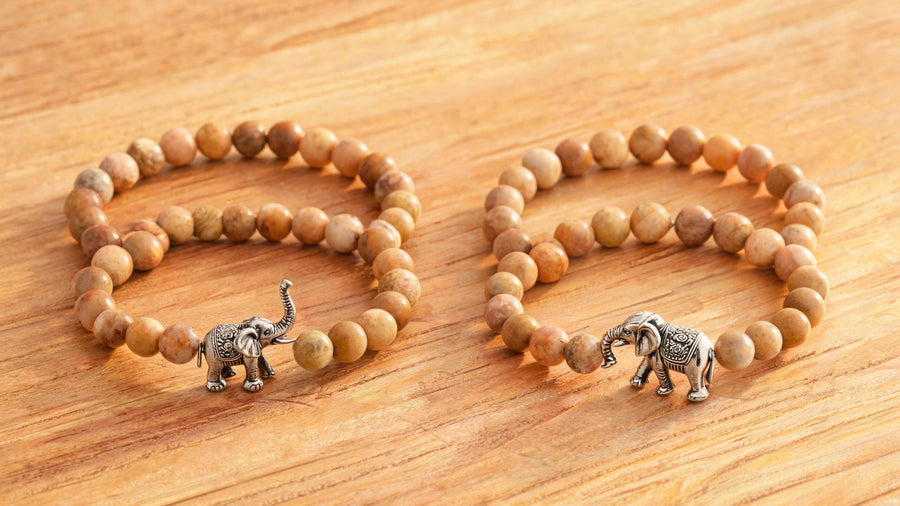 Elephant Trunk Up or Down: Which Direction Brings Luck?