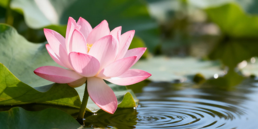 Seeking Inner Peace? The Lotus Jewelry Collection for Mindfulness and Calm