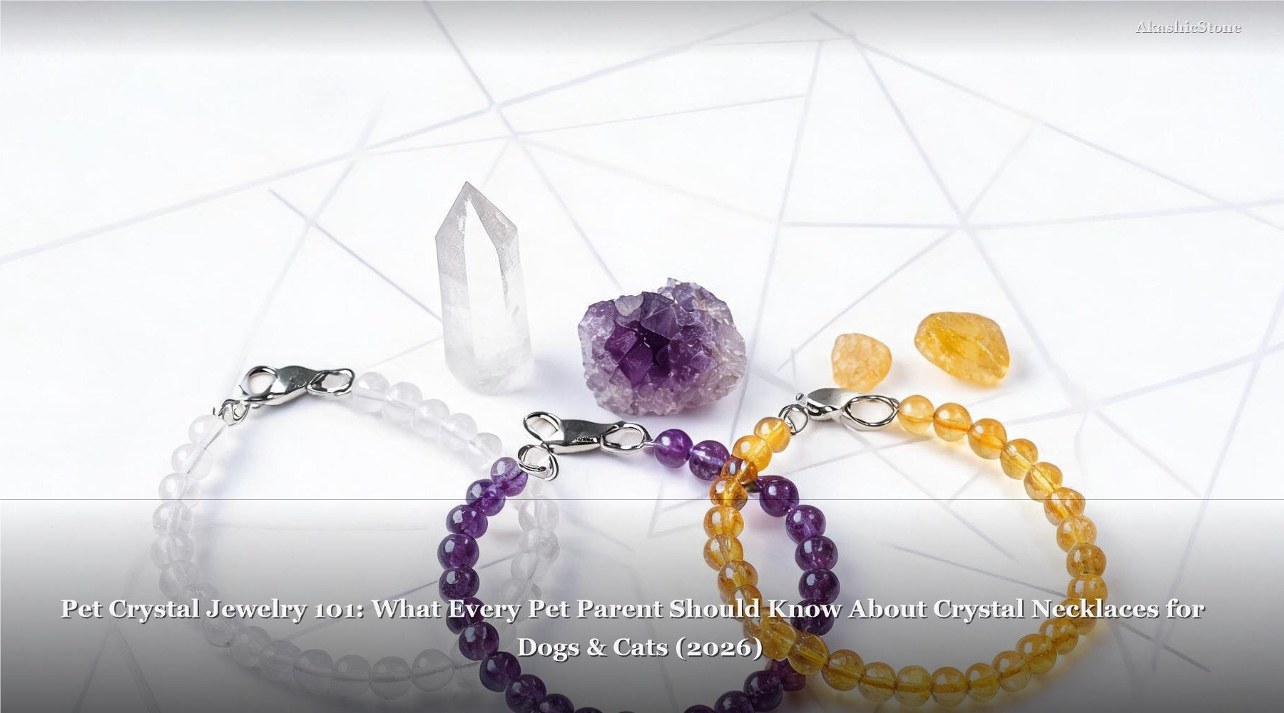 Pet Crystal Jewelry 101: What Every Pet Parent Should Know About Crystal Necklaces for Dogs & Cats (2026)