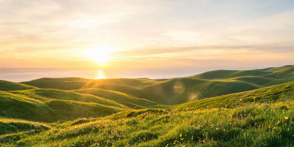 Angel numbers for money - warm golden light spilling across rolling hills toward a calm sea, abundance and steady material flow