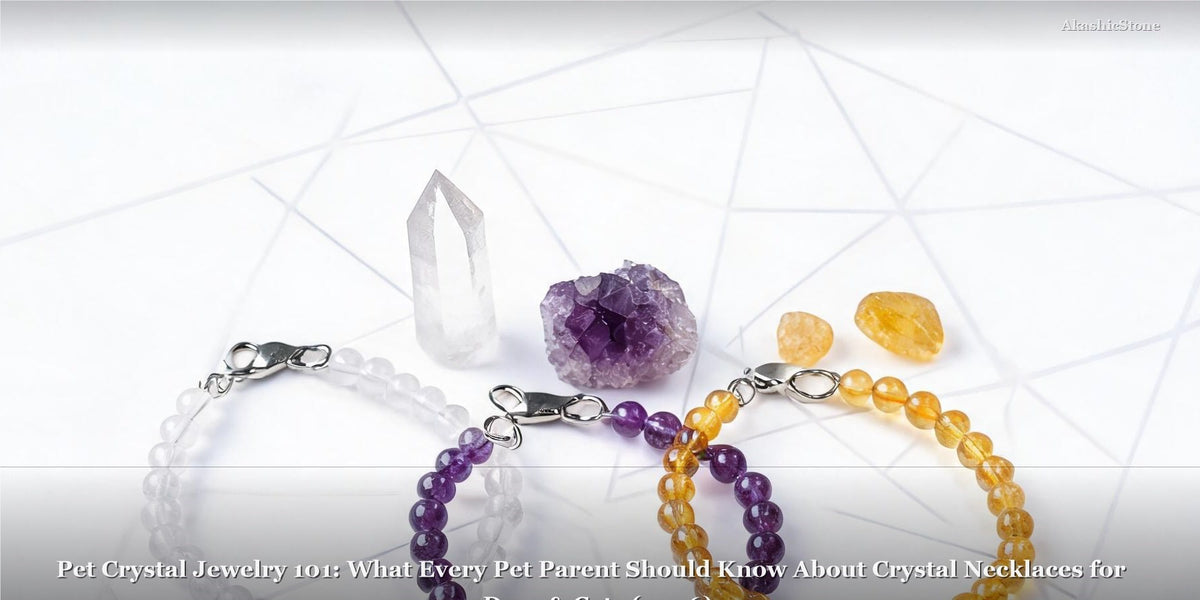 Pet Crystal Jewelry 101: What Every Pet Parent Should Know About Crystal Necklaces for Dogs & Cats (2026)