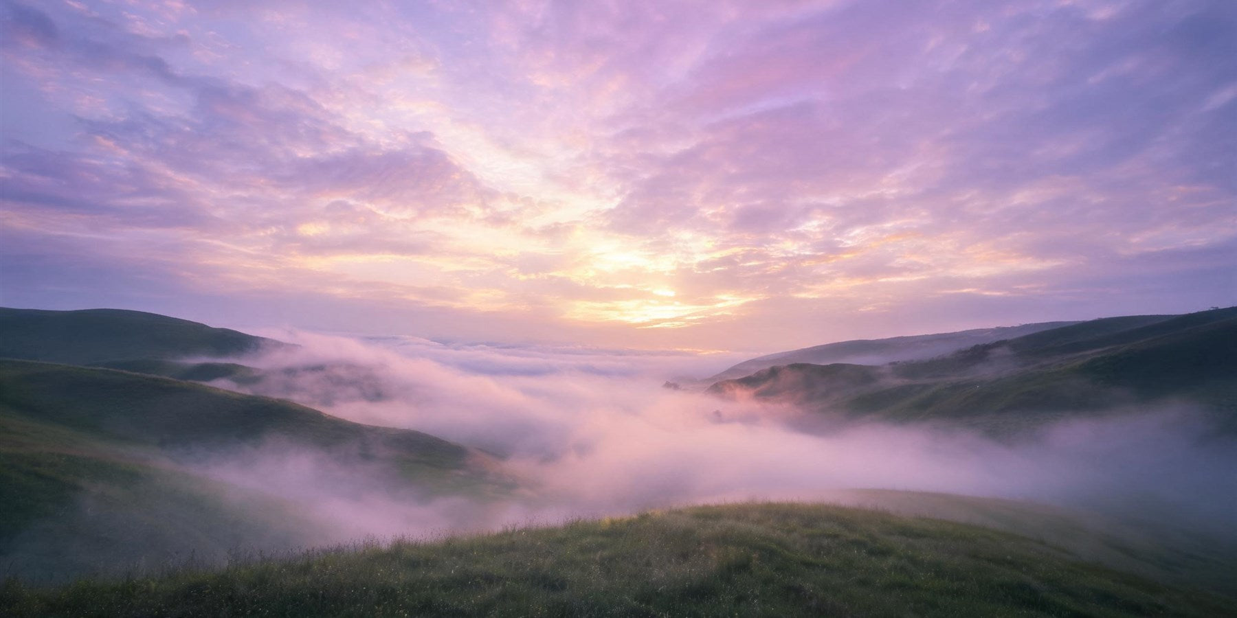 1010 angel number meaning - a violet and gold dawn light breaking through soft mist over an open valley, awakening and a new path