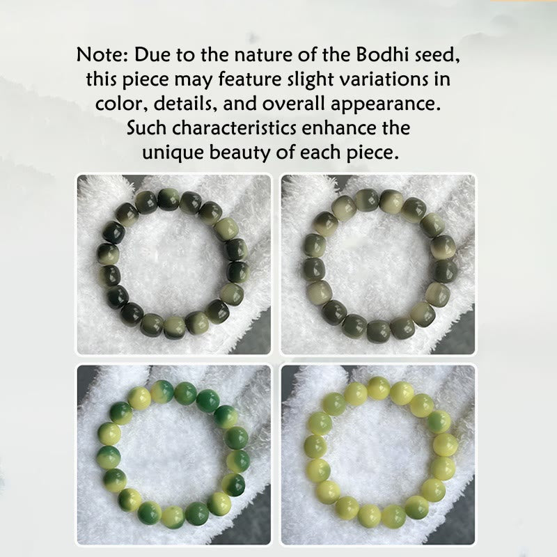 Bracelet graine de Bodhi Bouddha natal Zodiaque chinois