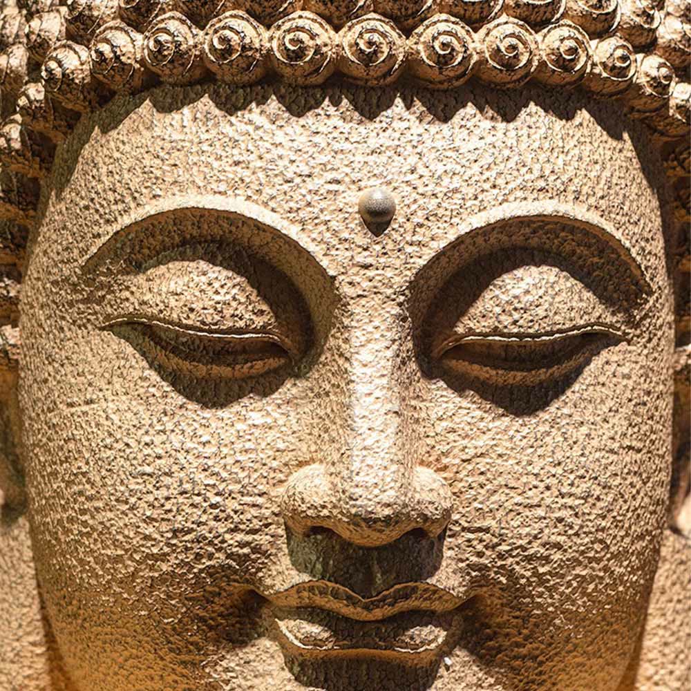 Meditating Buddha Head Statue – indoor garden display with plants and stones setting