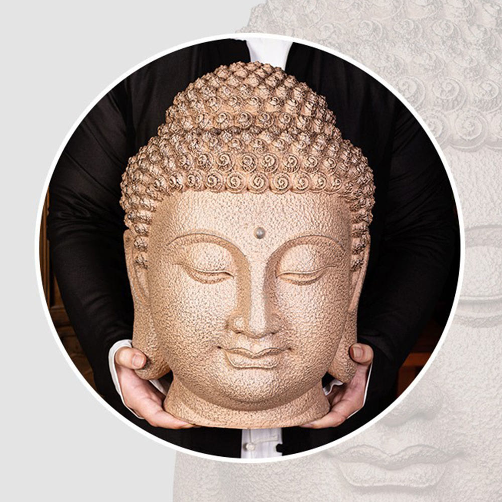 Meditating Buddha Head Statue – comparison with hand showing large scale statement piece