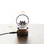 Crystal ball with 3D etched lotus on wooden base with measurements, lotus decor