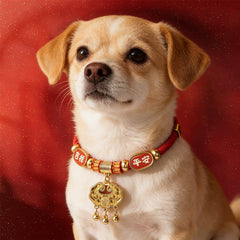 Red String Bead Fu Pet Collar – dog wearing red cord, gold fu lock, jixiang ping'an plates, 3 bells, red background