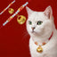 Red String Koi Fish Pet Collar – white cat wearing red cord with pearls, gold koi beads, fu lock, on red background