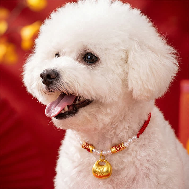 Red String Koi Fish Pet Collar – Bichon dog wearing red cord, pearls, gold koi beads, fu lock, golden bokeh
