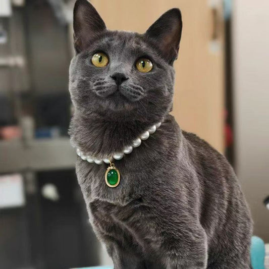 Pearl & Emerald Cat Collar – Cream pearl strand with green jade pendant on gray cat, gold tone luxury pet jewelry