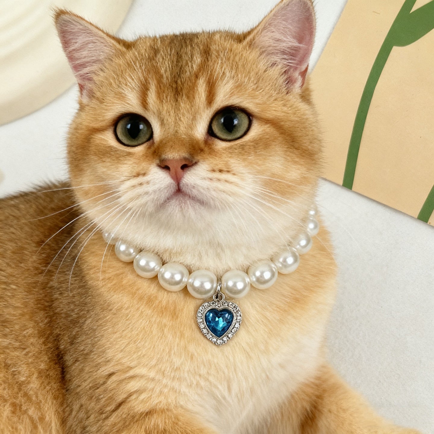Quartz Heart Pearl Pet Collar – Golden cat close-up wearing pearl blue heart collar, crystal pet necklace