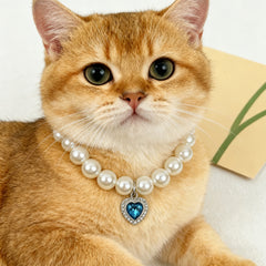 Quartz Heart Pearl Pet Collar – Golden British Shorthair cat wearing pearl collar with blue heart, pet jewelry