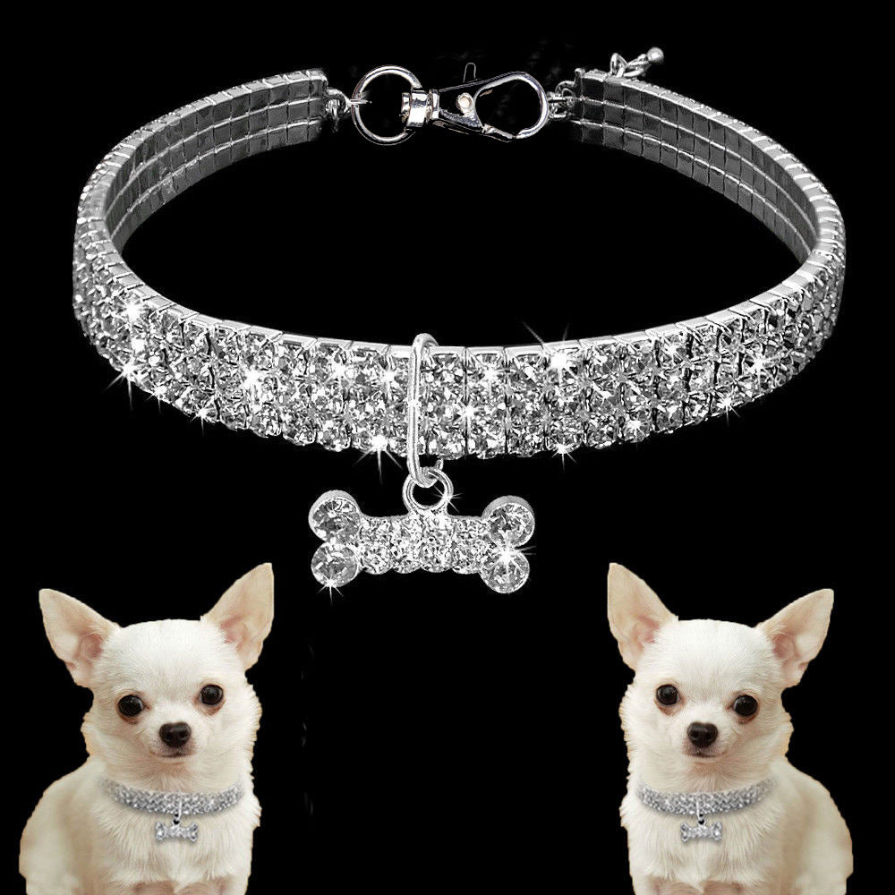 Stretchy Rhinestone Pet Collar – Clear crystal band with bone charm on black, Chihuahua wearing, bling pet collar