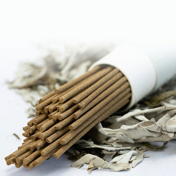 White Sage Incense Sticks - sticks from plain white tube, calming