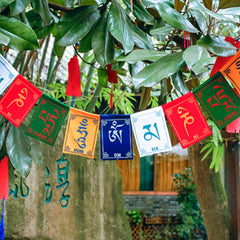 Tibetan Prayer Flags – Colorful Om Mani Padme Hum flags hanging among green tree foliage, outdoor spiritual decor