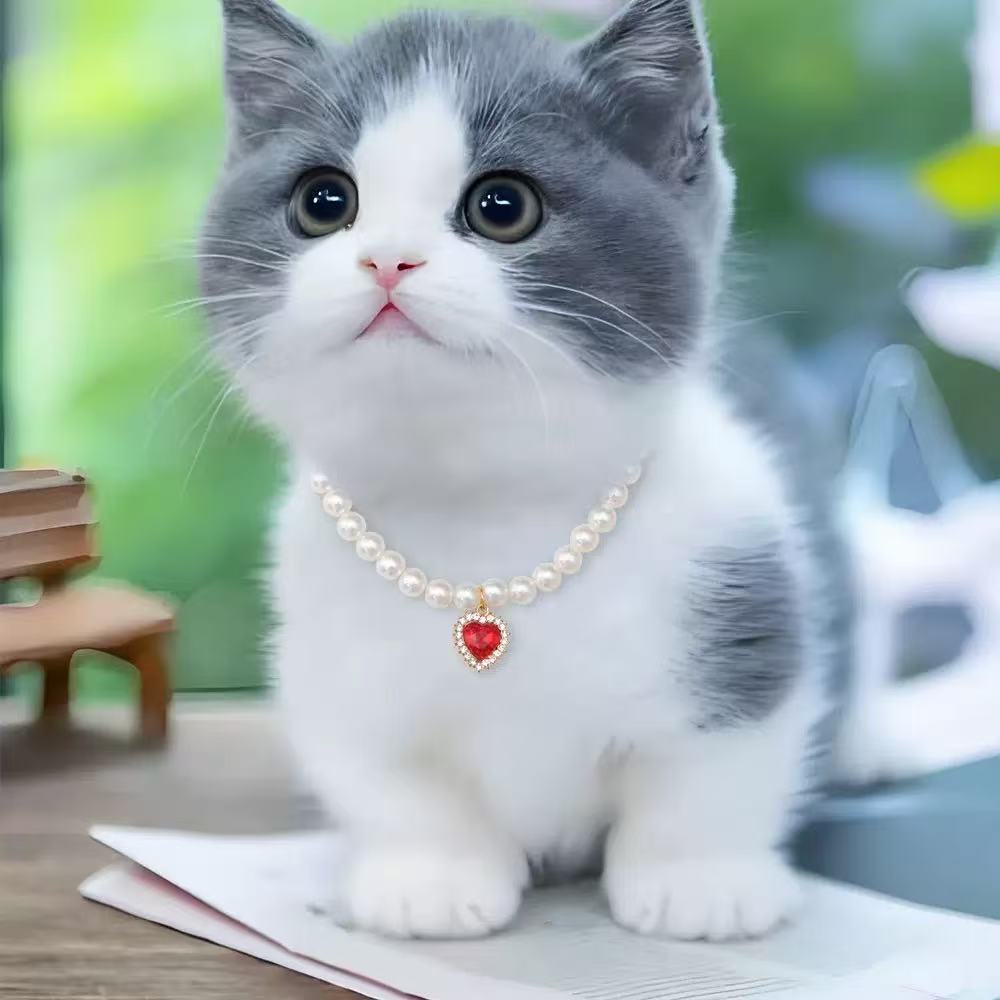 Crystal Heart Pet Necklace – Gray-white cat wearing pearl collar with red heart crystal pendant, indoor setting