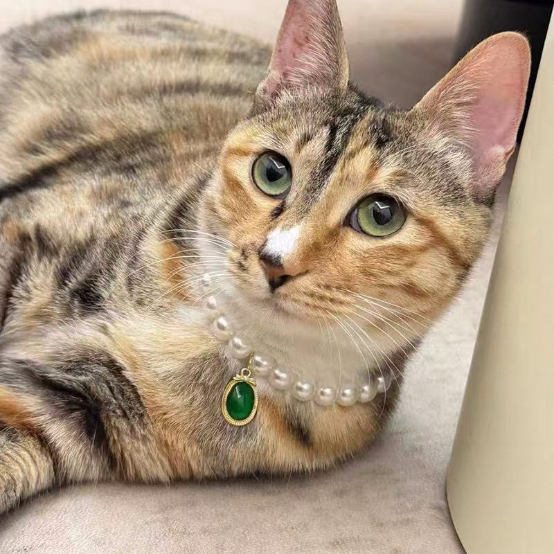 Jade Pearl Cat Collar – White pearl strand with green jade pendant on tabby cat, gold bezel, matching green eyes