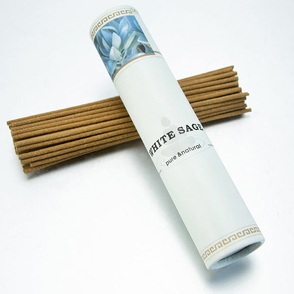 White Sage Incense Sticks - bundle with botanical photo tube, natural