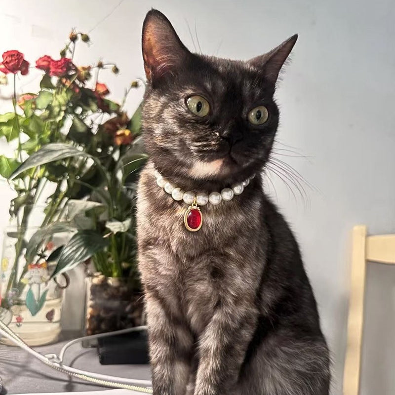 Pearl & Ruby Cat Collar – White pearl strand with red cabochon pendant on dark cat, roses background, luxury pet