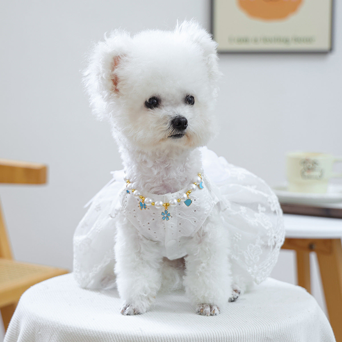 Luxury Crystal Pet Necklace – white fluffy dog in pearl collar with blue flower and heart charms, lace dress Main image