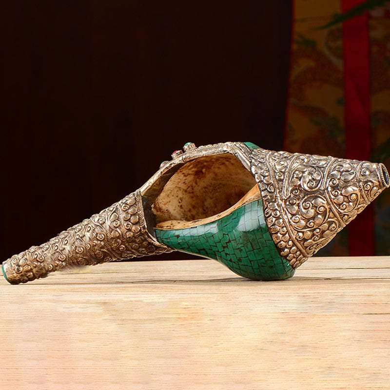 Double Dorje Shankha Conch – interior spiral viewed through conch opening, natural shell architecture
