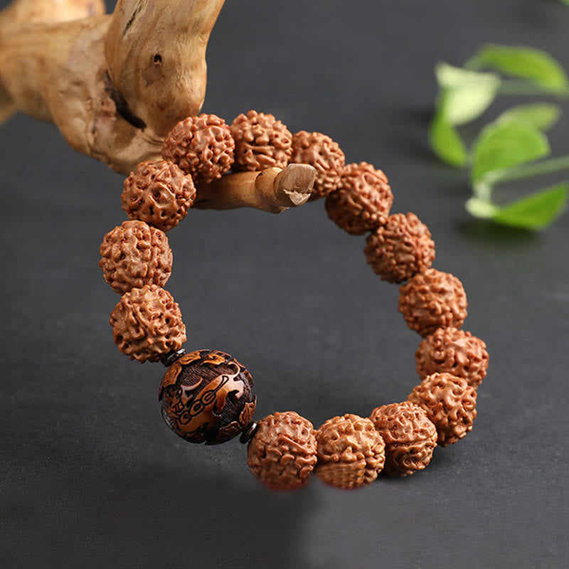 Rudraksha PiXiu Bracelet – Hanging on driftwood branch with green leaves, dark natural background