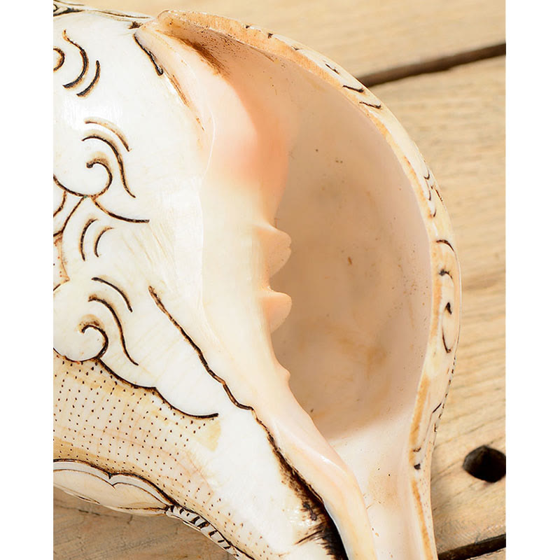 Engraved Shankha Wealth Conch – interior view with smooth pearl-like surface, natural shell quality