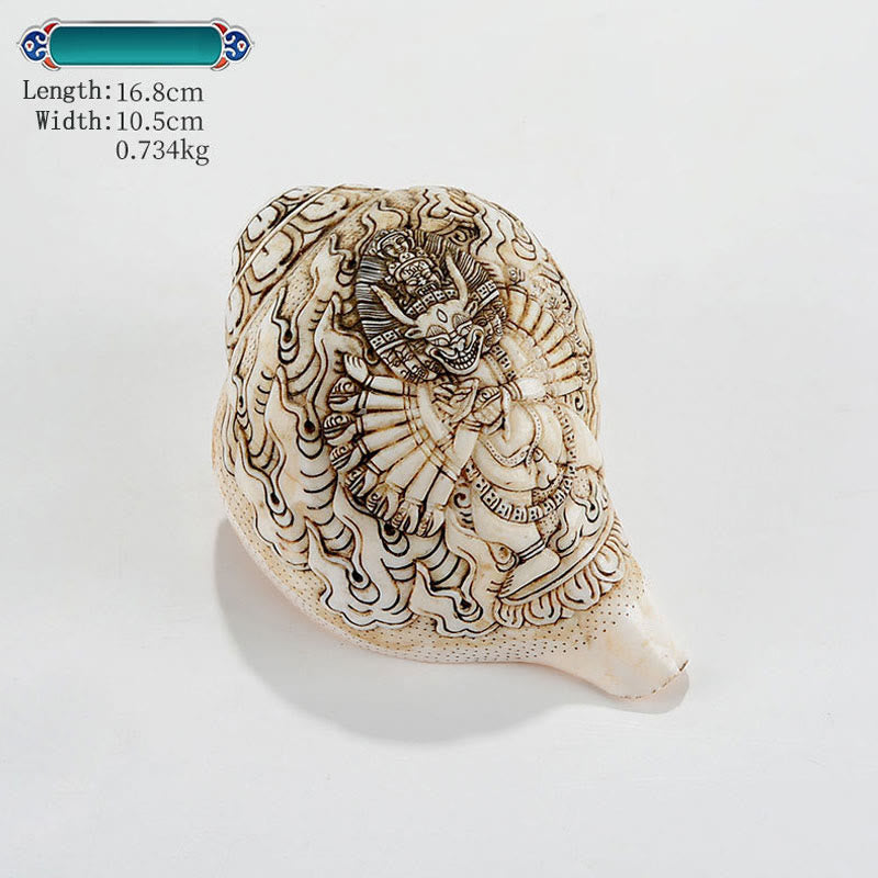 Engraved Shankha Wealth Conch – three angles composite image, full 360 conch shell product showcase