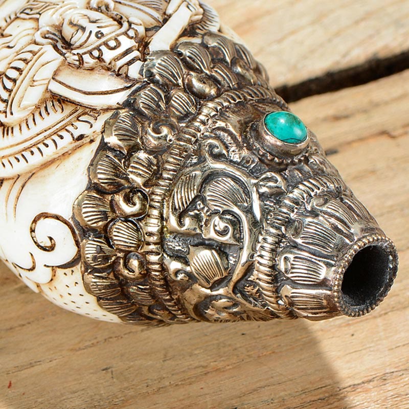 Engraved Shankha Positive Conch – on sandalwood base with soft backlight, peaceful home shrine setup