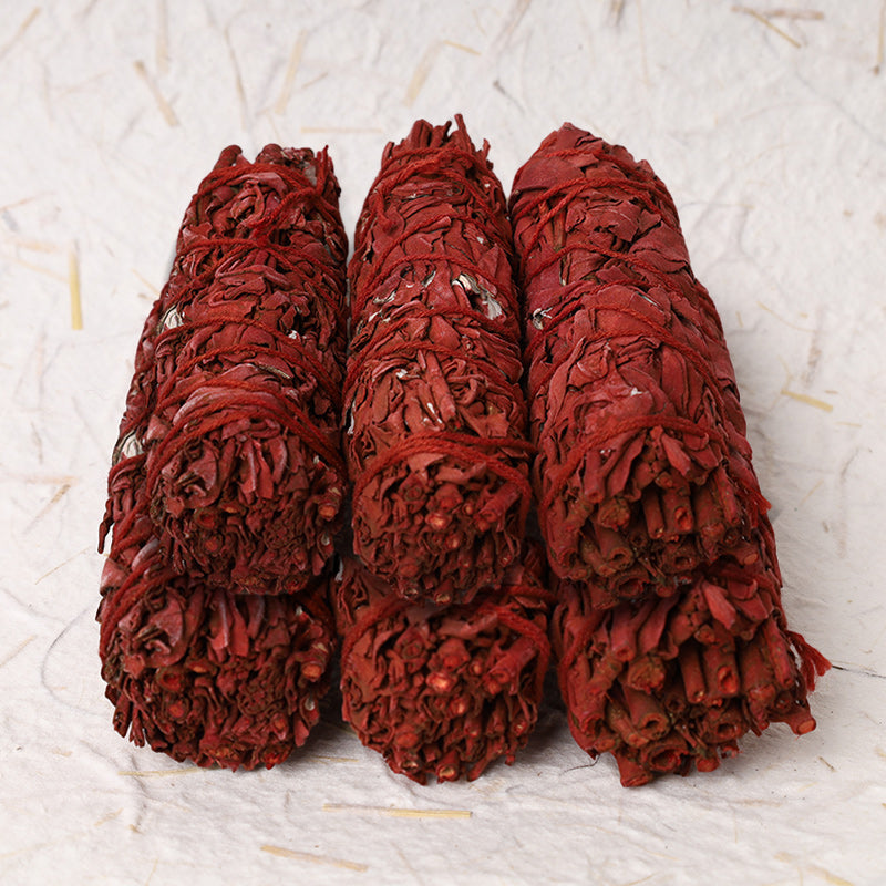 Dragon's Blood sage smudge – six crimson bundles in rows on cream background, ritual