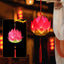 DIY Lotus Dragon Lantern Tassel Lamp – Pink lotus lantern with warm glow in temple setting with hanfu, Cultural glow