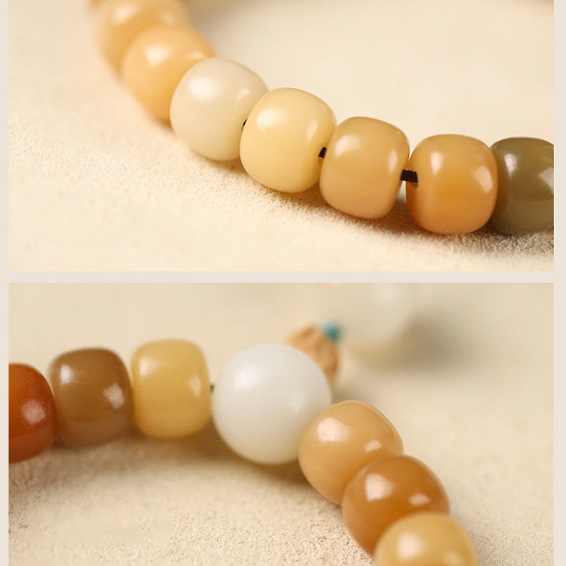 Natural Bodhi Seed Om Mani Padme Hum Wisdom Bracelet - Macro texture and color gradient