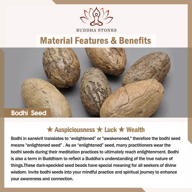 Buddha Stones brand material info card showing raw bodhi seeds with natural texture, auspiciousness luck and wealth symbolism, educational product insert for Tibetan Rosewood Mala Bracelet