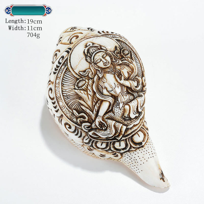 Engraved Shankha Wealth Conch – natural shell color gradient from ivory to amber, organic material beauty